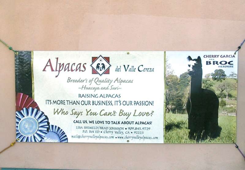 vinyl banner information alpaca2