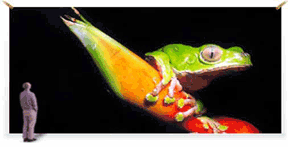 Large sized prints. Big printing. Large size printing